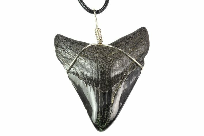 Fossil Megalodon Tooth Necklace #130385